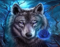 Wolf und Blumeneule